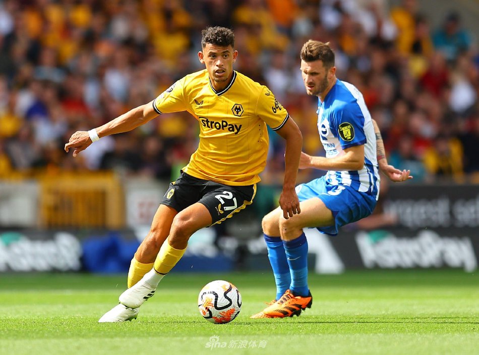 足球世界的 足球世界的